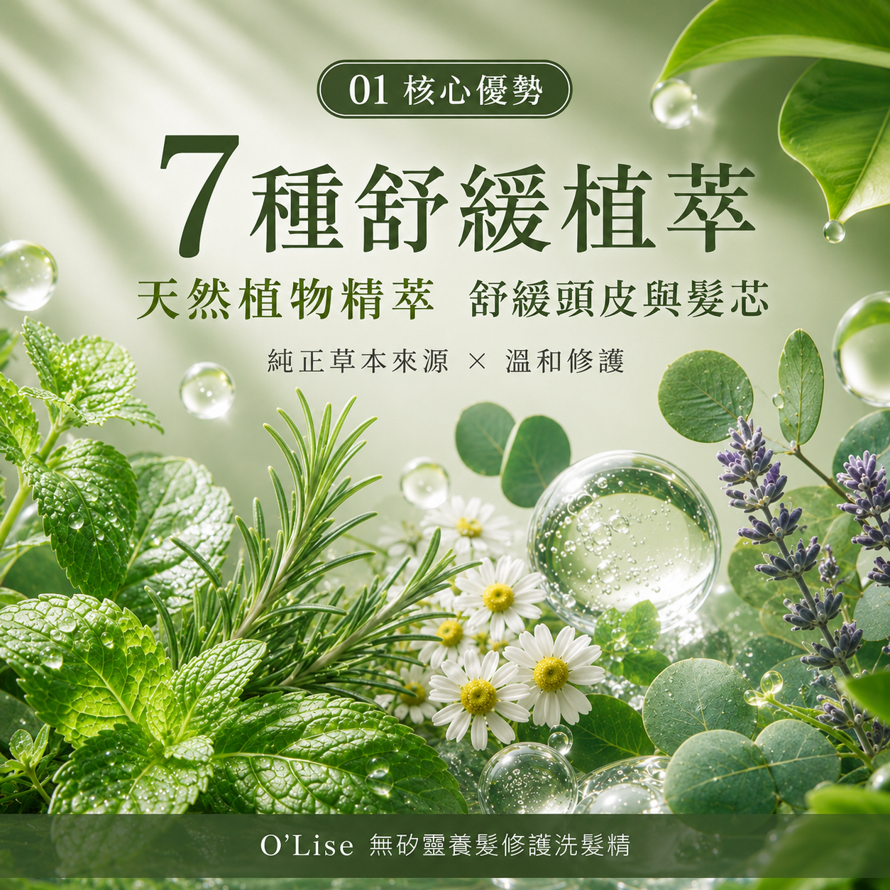 O'Lise 歐黎絲 無矽靈養髮修護洗髮精 Silicone-Free Repair Shampoo 500ml
