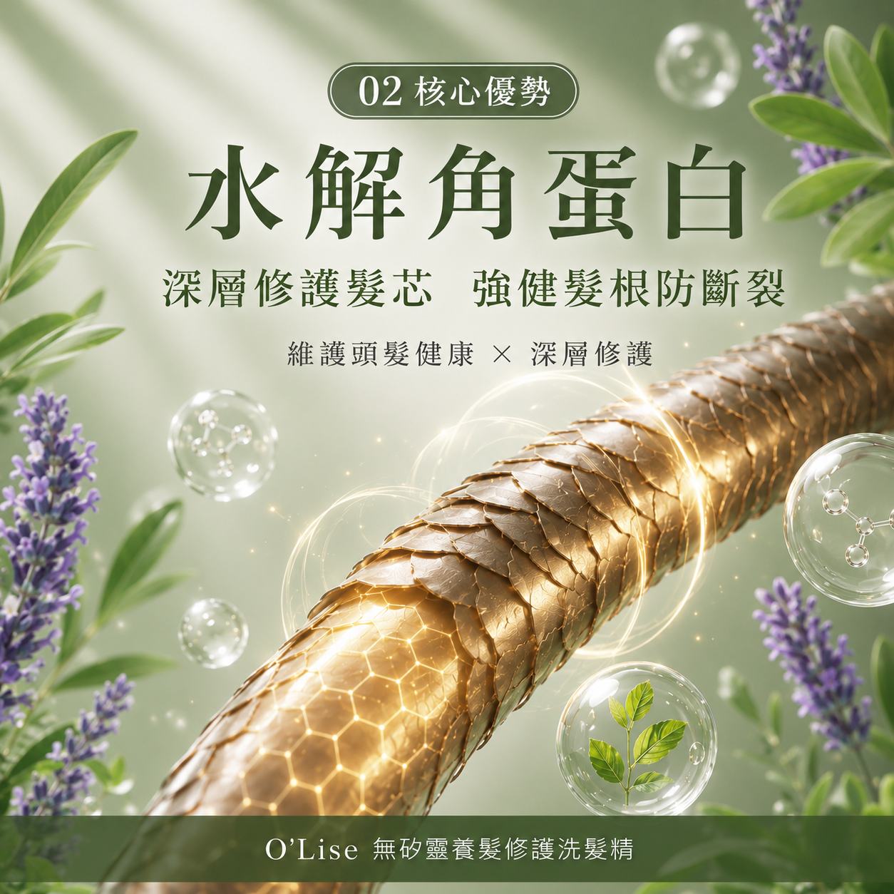 O'Lise 歐黎絲 無矽靈養髮修護洗髮精 Silicone-Free Repair Shampoo 500ml