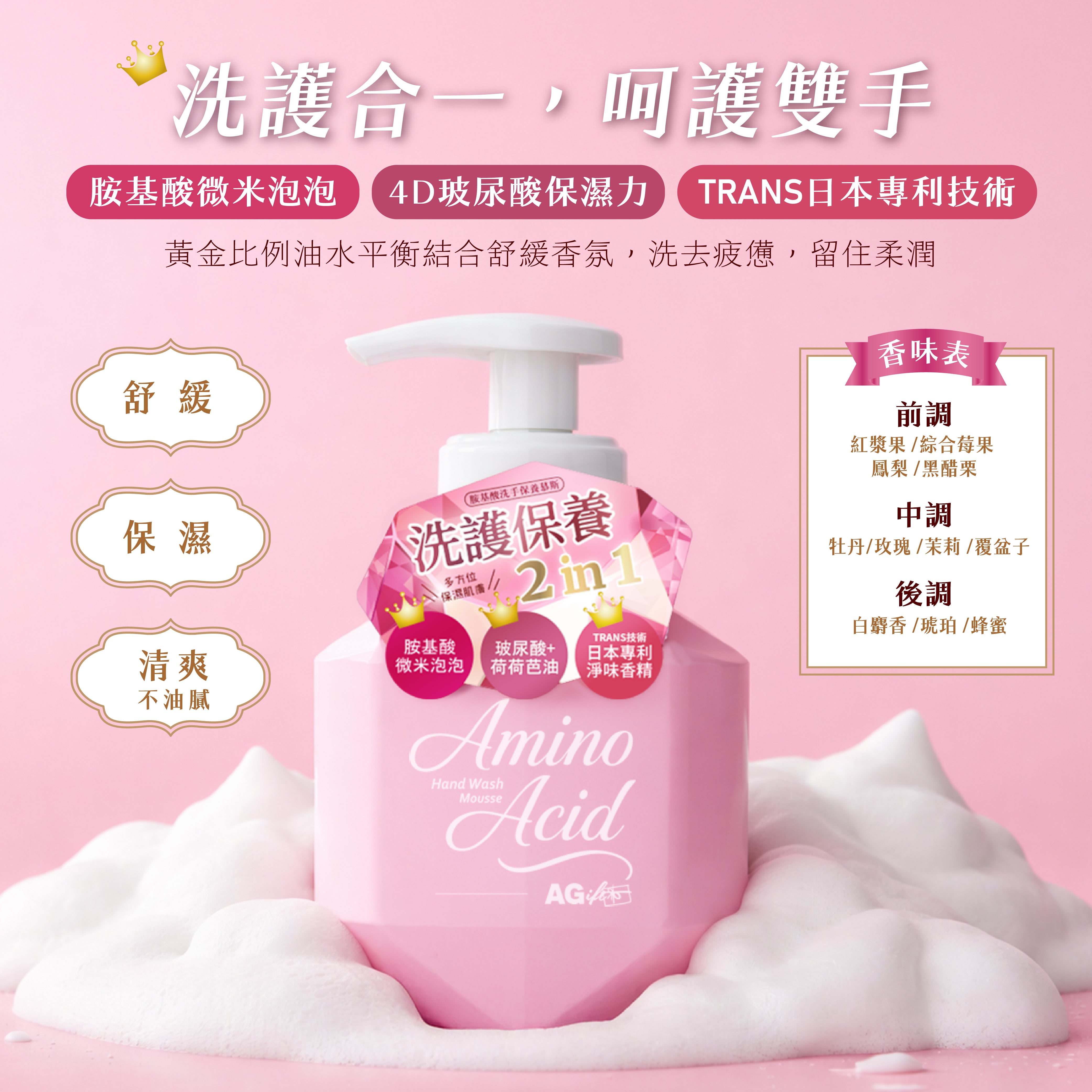 AGift 胺基酸洗手保養慕斯 Amino Acid Hand Wash Mousse 300ml｜洗護保養 2in1